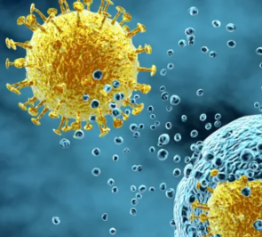 Microbiology and Infectious Diseases