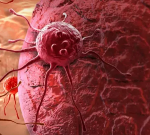 Cancer Biology and Immunology