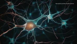Neural Circuits for Early Life Social Behavior