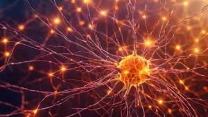Neuroscience and Brain Disorders seminar
