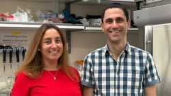 A Breakthrough in Understanding Brain Metastases in Breast Cancer