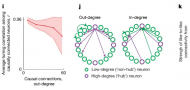 Connectivity underlying motor cortex activity during goal-directed behaviour Connectivity underlying motor cortex activity during goal-directed behaviour