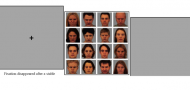 Attention bias variability as a cognitive marker of PTSD: A comparison of eye-tracking and reaction time methodologies Attention bias variability as a cognitive marker of PTSD: A comparison of eye-tracking and reaction time methodologies