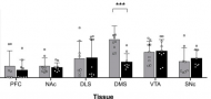 Chronic Voluntary Alcohol Consumption Alters Promoter Methylation and Expression of Fgf-2 and Fgfr1 Chronic Voluntary Alcohol Consumption Alters Promoter Methylation and Expression of Fgf-2 and Fgfr1