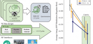Amygdala self-neuromodulation capacity as a window for process-related network recruitment Amygdala self-neuromodulation capacity as a window for process-related network recruitment