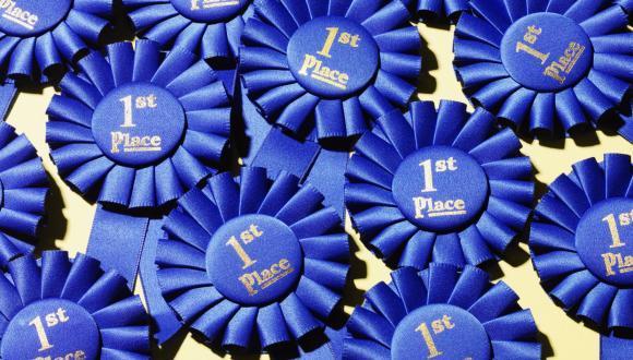 Roy Rabinowitz is awarded the Dan David Prize Scholarship in Molecular Medicine