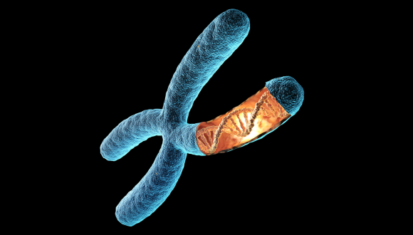 Genome Stability at the Crossroads of Cell Senescence, Aging, and Cancer Genome Stability at the Crossroads of Cell Senescence, Aging, and Cancer